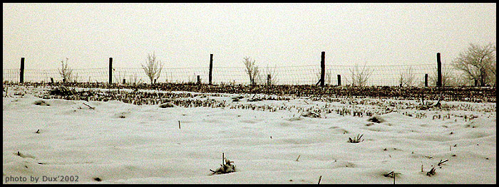 Algografia - Cierna minulost