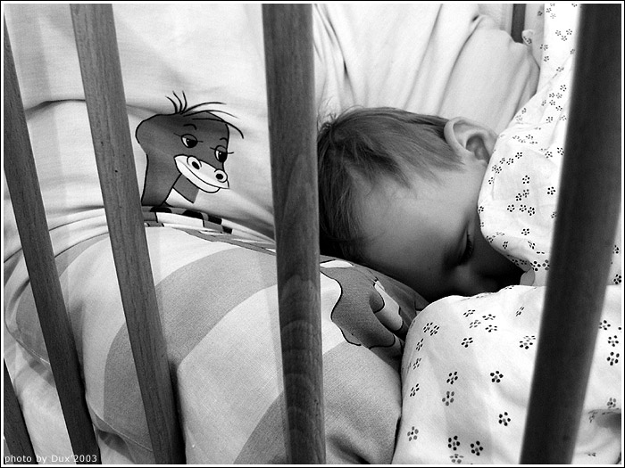<b>Alex</b> - IV.<br>strazca snov ...