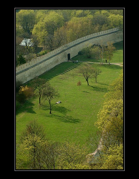 Další, jarní, zelená ...
