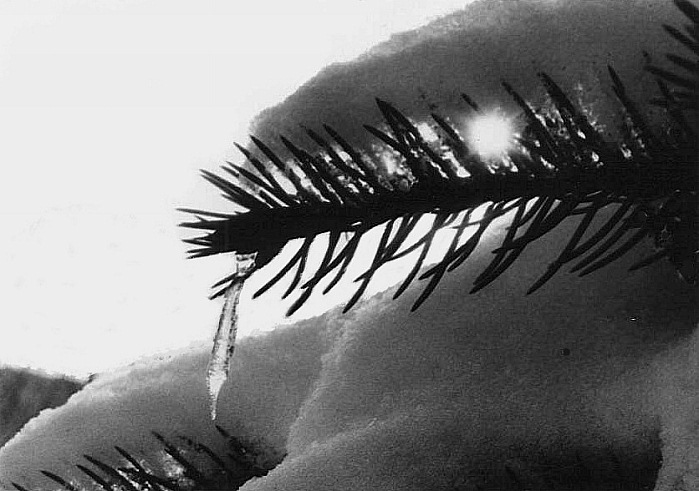 "jeden z okamžiků matky přírody"