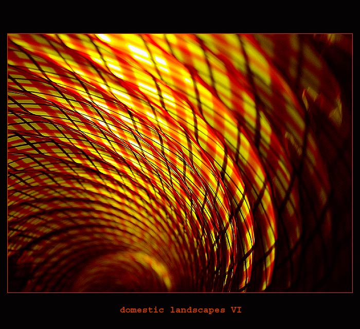 domestic landscapes.....