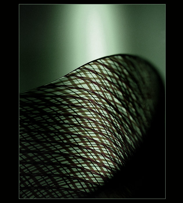 domestic landscapes.........