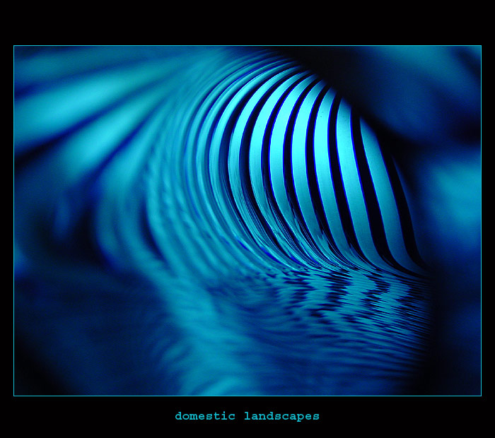 domestic landscapes