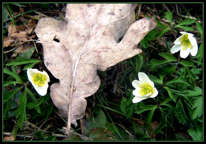 takový zákoutíčko...
