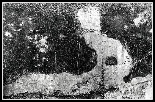 Velikonoční zajíček