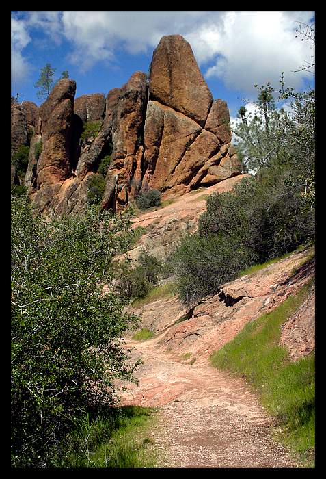 Pinnacles (California)