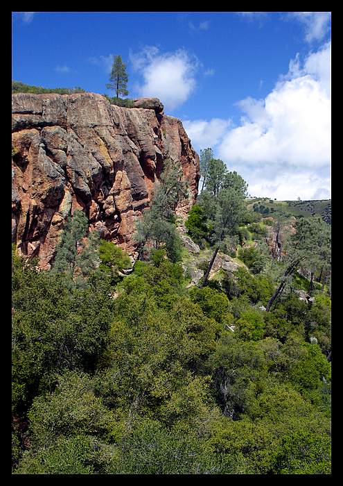 Strom na strazi (Pinnacles, Calif)