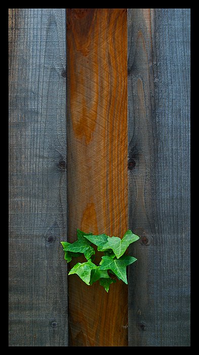 Plot (symetrie suku)