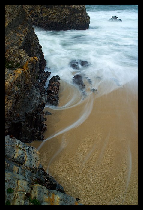 Fluid of life