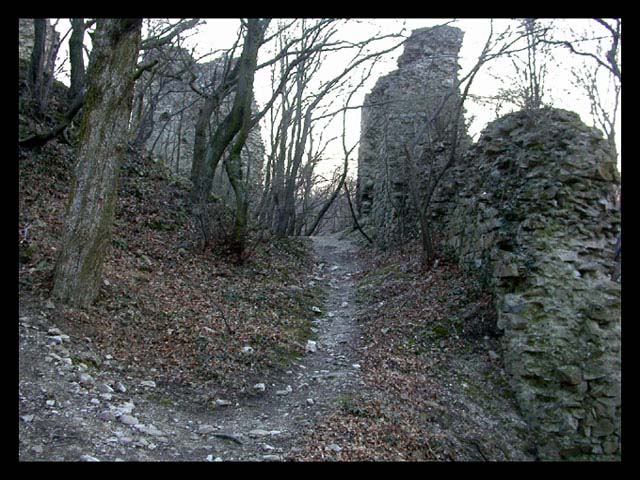 Svatojursky hrad - zrucanina  1