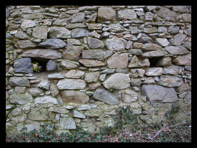 Svatojursky hrad - zrucanina  3