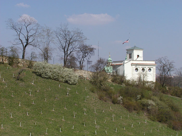 bez nazvu