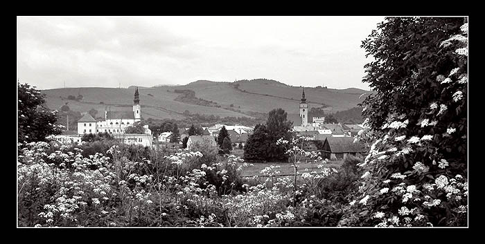 moje mesto