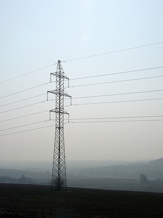 Co roste na poli ...