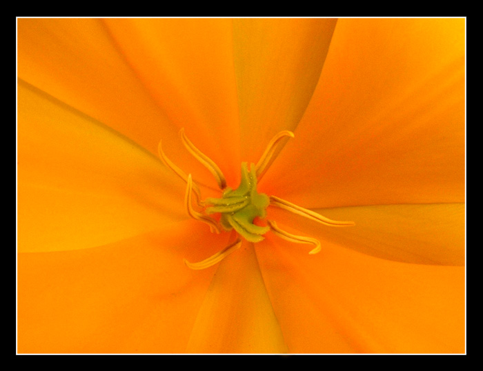 ..Piestik a Tycinky..