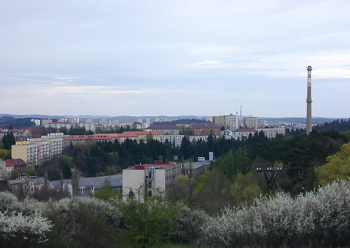 Borovina