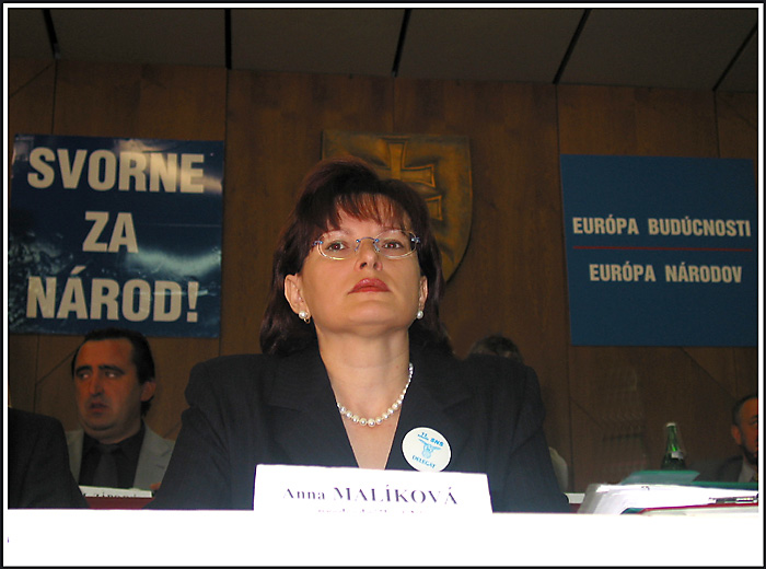 Predsedníčka politickej strany