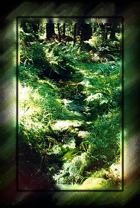 zelena
