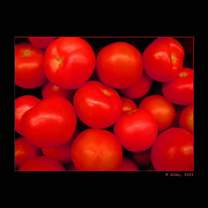 3R:"Rajcovni red rajcatka"