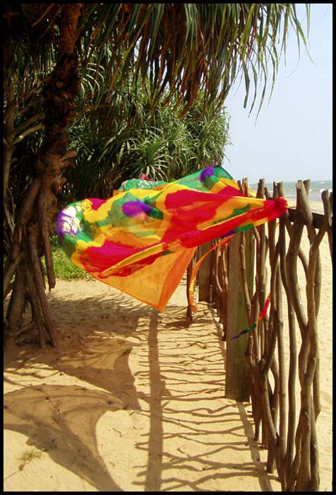 ***Sari***