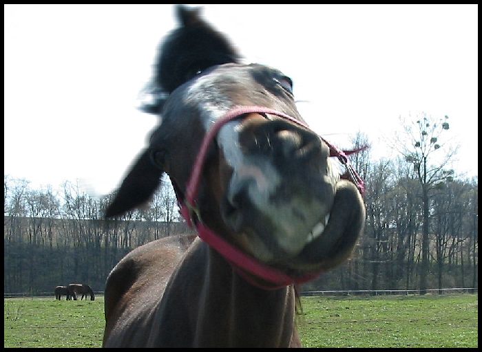 Co to máš? Budeš mě fotit? :o)