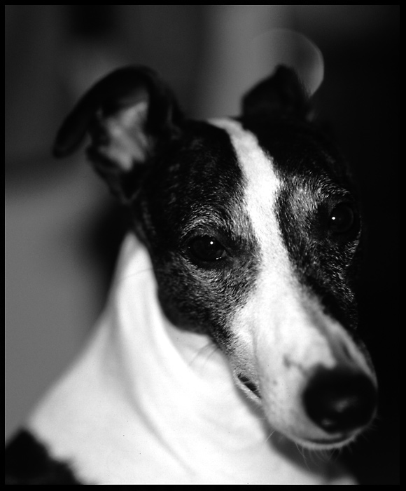Finn