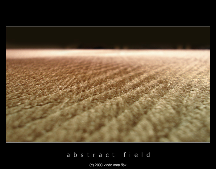 abstract field