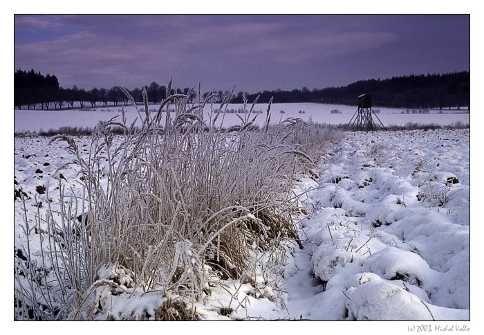 Mrazivé nedeľné ráno...