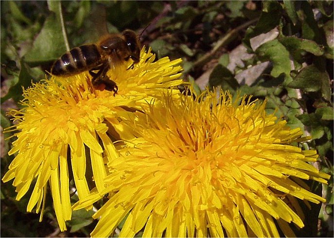 Ahoj, tak já letim...