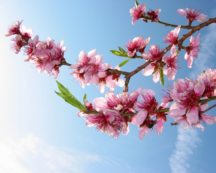 Finally spring