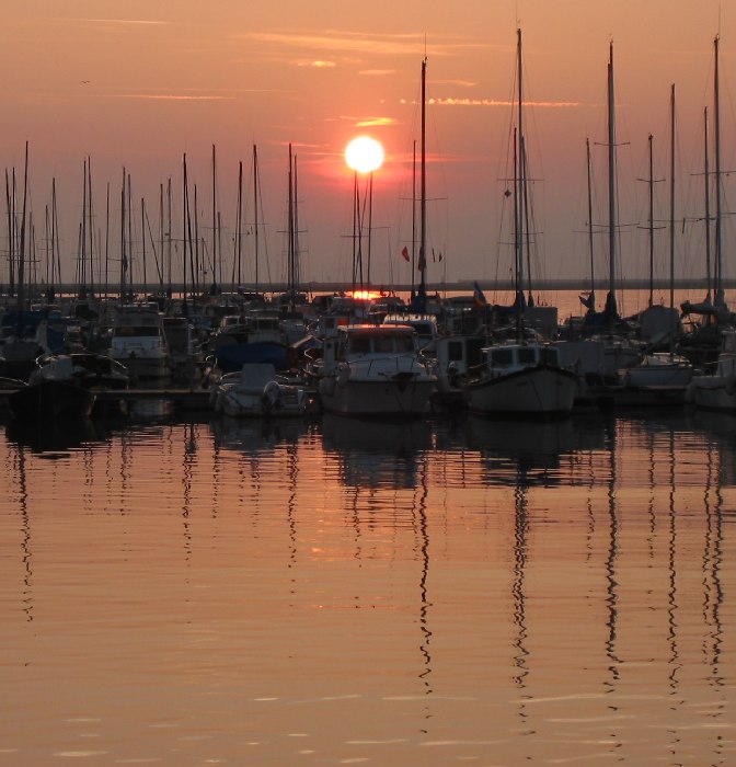 harbour sunset