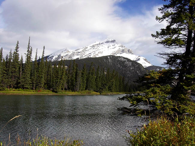 Rockies