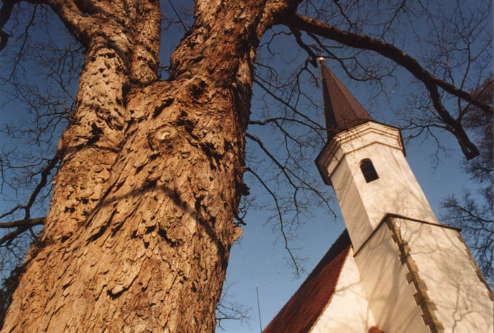 Kostel Sv.Václava