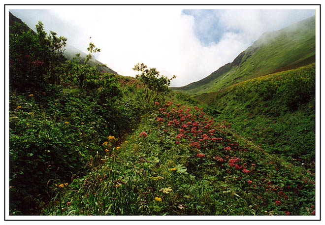 Belianske Tatry