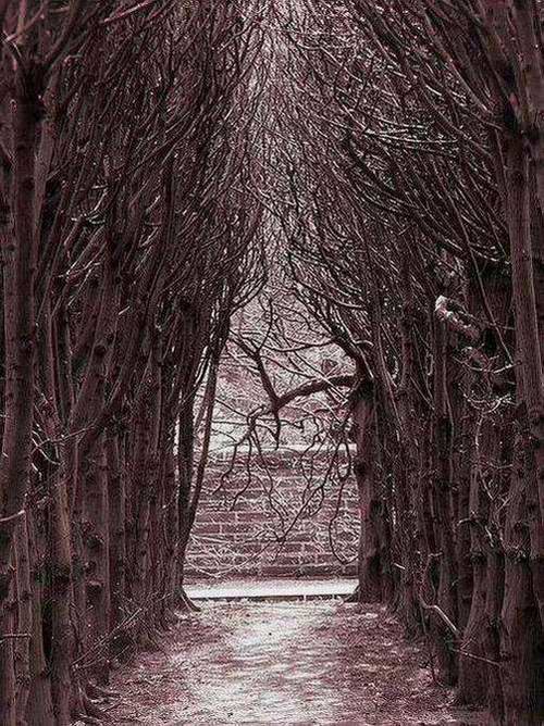 the Gate