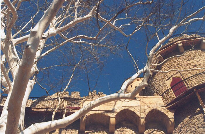 Januv hrad