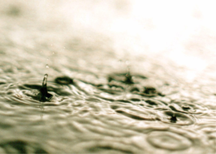 zlaté kapky deště