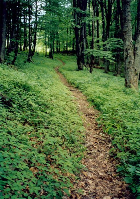 Cestička do Raja