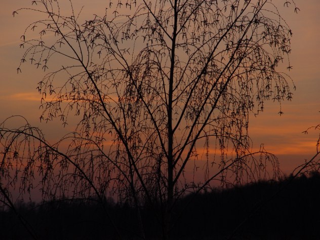 Briza v pozdnim veceru