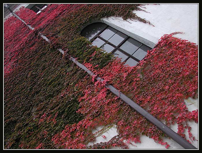 trochu se mi to kácí :-)