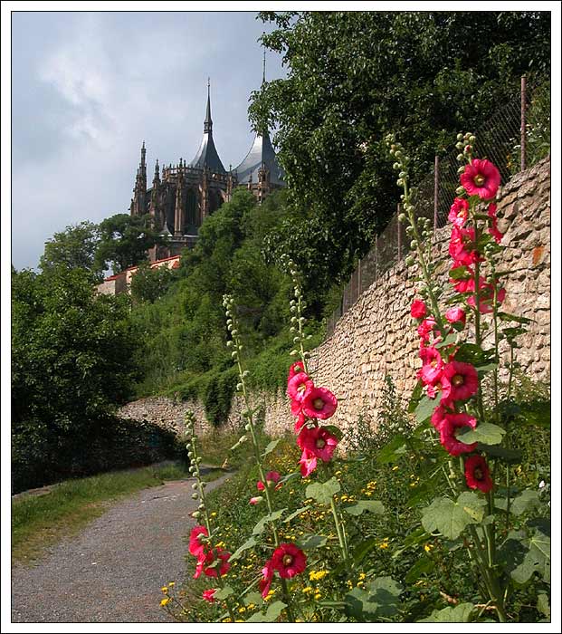 Hory Kutné, pod Barborou.