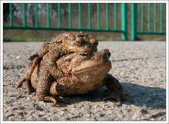 jestli usneš, tak tě shodím!