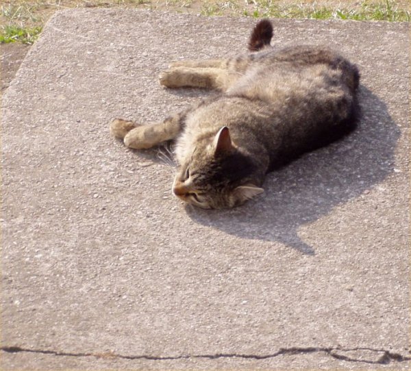 Odpolední siesta 2
