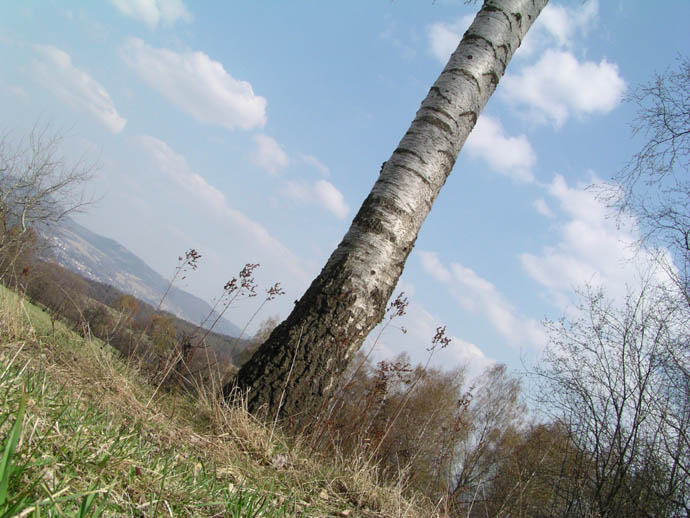 Z výletu