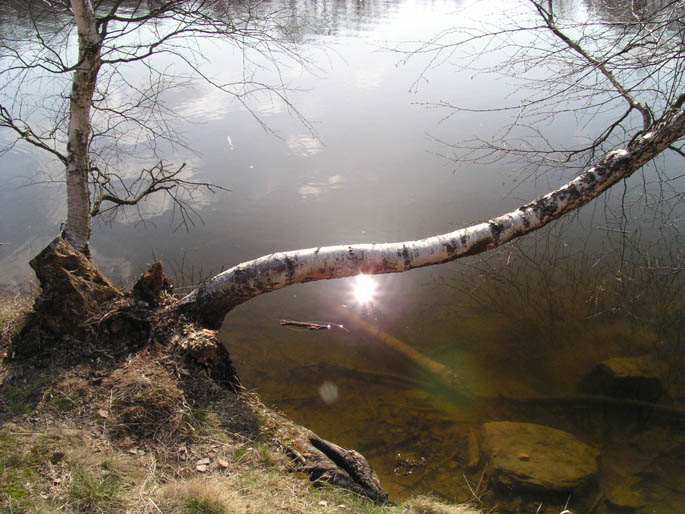 Vlčí jezírko