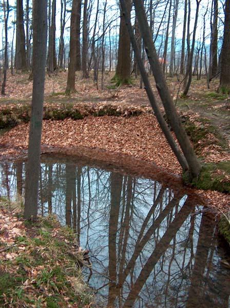 Čekání na jaro