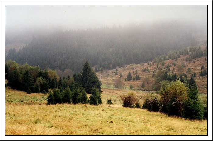 Ráno