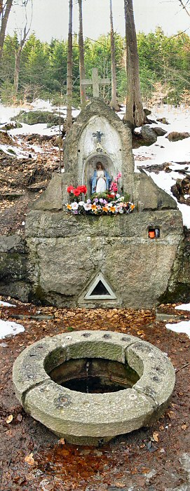 Další lesofka nudlovitá :-)