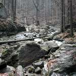 Pohádkový les - Rešovské vodopády III.