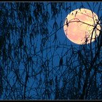 Ouplněk vychází...